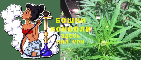 spice Горнозаводск