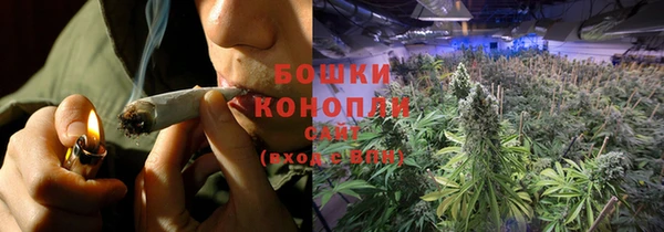 spice Горнозаводск